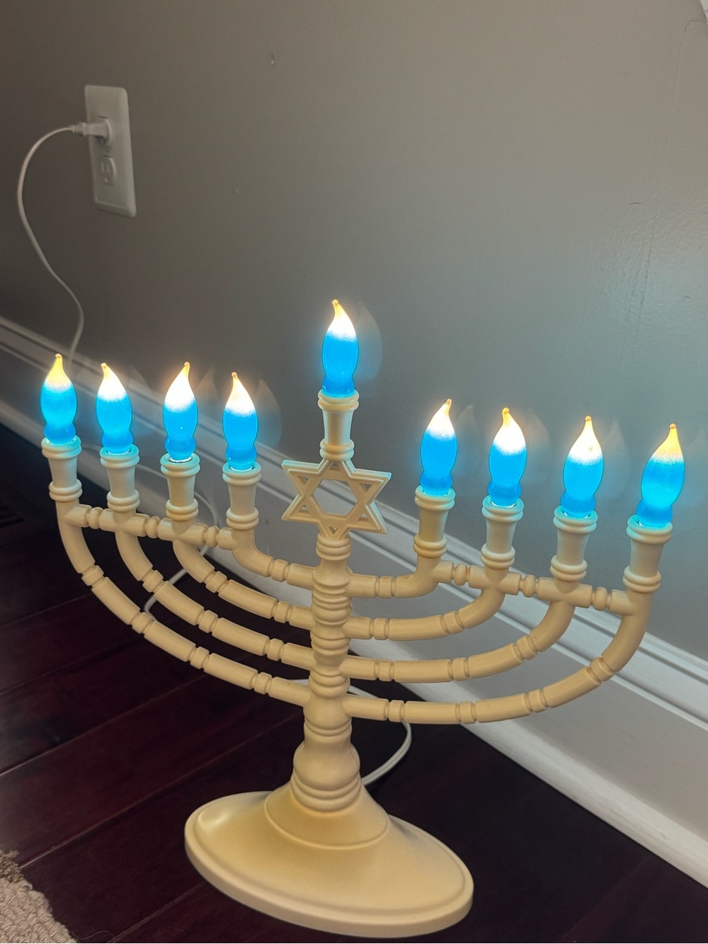 Deluxe Electric Menorah